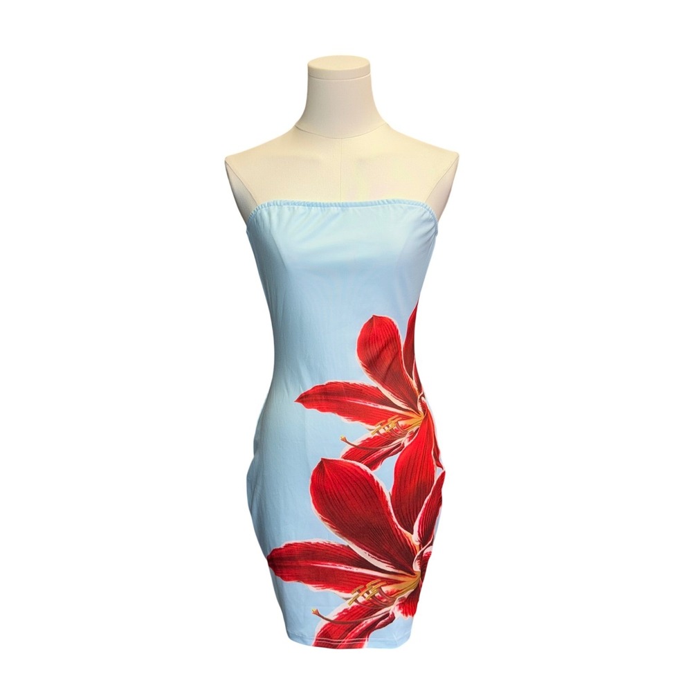 Vintage Y2K Strapless Tube Dress Light Blue Red Floral Amaryllis Bodycon Mini